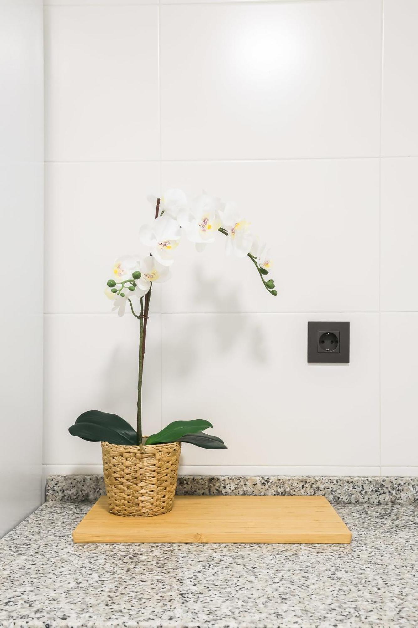 Apartamento Palermo Living Suites En Burriana Exterior foto